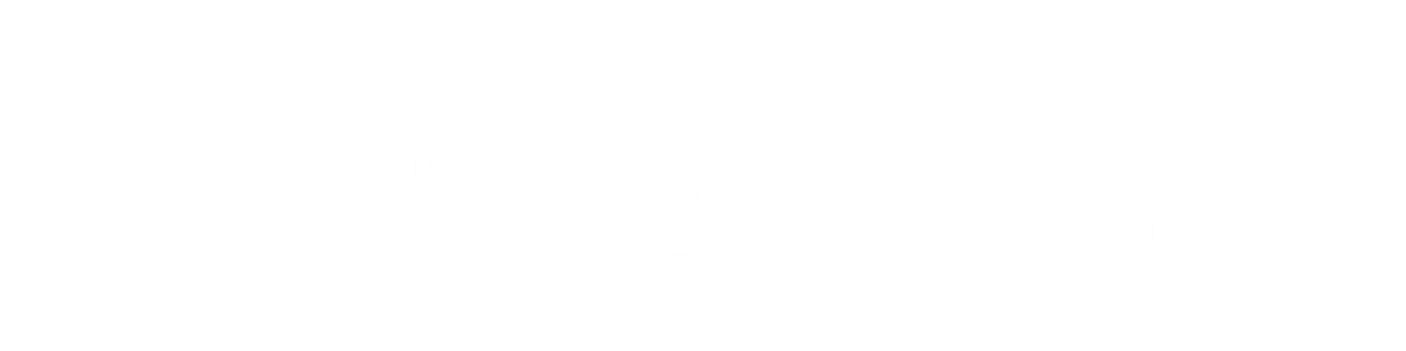 finaciado por la union europea